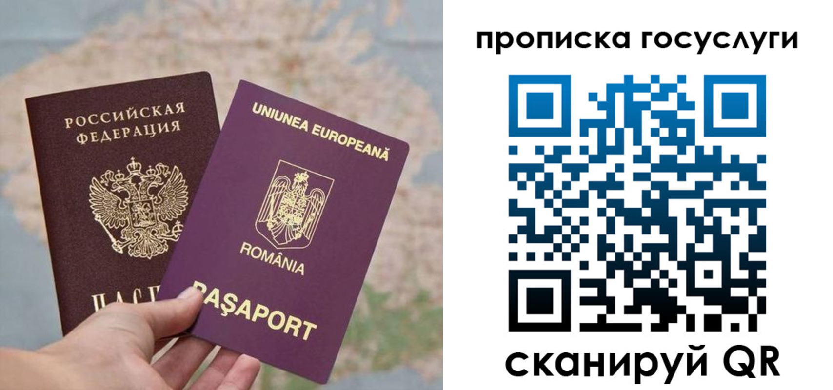 прописка паспорт в Сальске